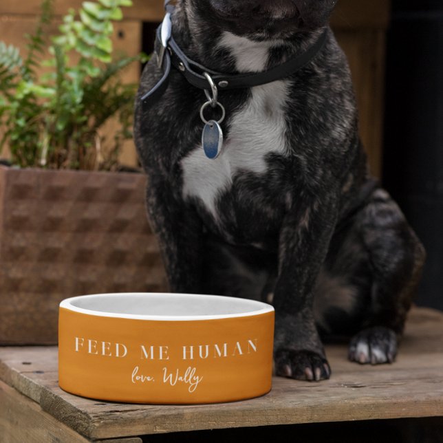 Tigela Monogramada Funny Feed Me Human | Alimentaç (Criador carregado)