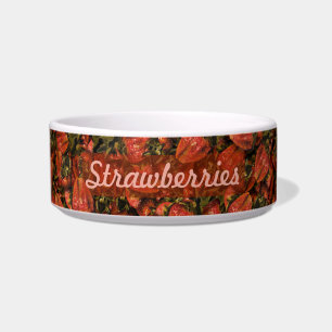 Tigela Morangos Pet Bowl