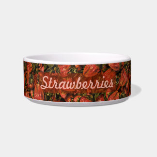 Tigela Morangos Pet Bowl