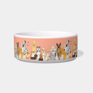 Tigela muitos animais de estimação