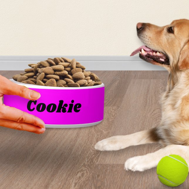 Tigela Na moda Rosa Brilhante, Moderno, Cão de Animais de (A bright pink dog bowl, personalized with the pet's name in modern black typography)