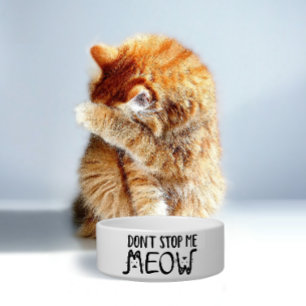 Tigela Não Me Pare Meow Citação Divertida Script Preto
