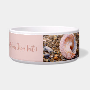 TIGELA NATURE SEASHELL STONY PESSOAS FOTOGRAFIAS DE PINCO