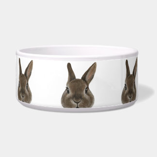 Tigela Neerlandês Coelho anão Amarelo