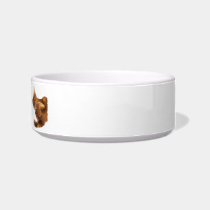 Tigela Nenhum Declaw a bacia da comida de gato do gatinho