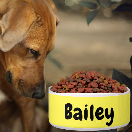 Tigela Nome Personalizado Cor da Arte Fotográfica Grande