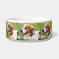 Nome personalizado da foto do cão do lebreiro e do