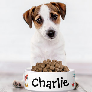 Tigela Nome Personalizado do Avião Cachorro Cachorro Cach