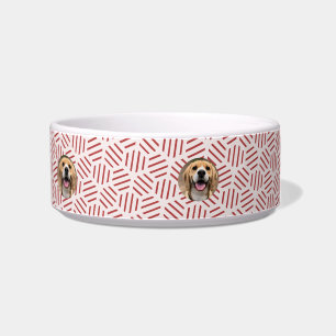 Tigela Nova Comida Personalizada Exclusiva de Cachorro Ac