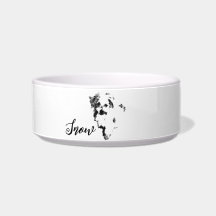 O Cachorro Maltês Mais Pobre De Sempre