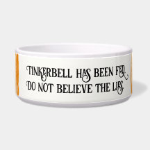 O Gato De Tigre Laranja Striped Foi Alimentado