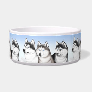 Tigela O rouco do Malamute persegue a bacia do animal de
