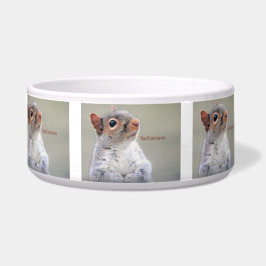 Tigela Oliver Twist Squirrel