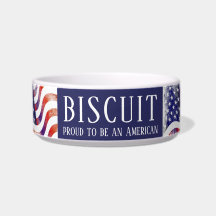 Orgulho de ser uma bandeira americana americana am