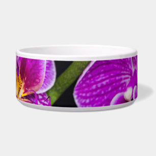 Tigela Orquídea roxa