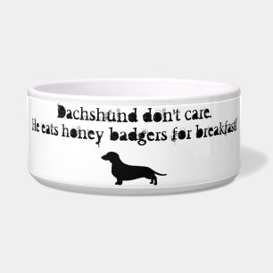Tigela Os Dachshunds comem texugos de mel