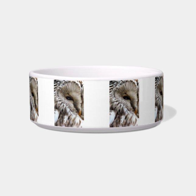 TIGELA OWLS (Frente)
