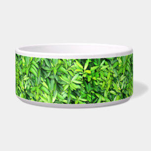 Tigela Padrão de Folhas Verde Lush - Botânica da Natureza