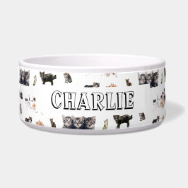 Tigela Padrão personalizado com fotos de gatos e gatinhos