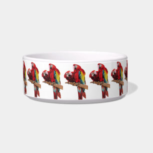Tigela Papagaio-de-arara Macaws vermelho Aves Bebidas