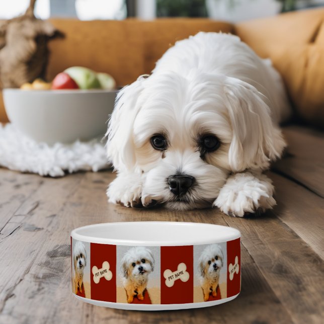 Tigela para cachorro Malshi com osso marrom (Criador carregado)