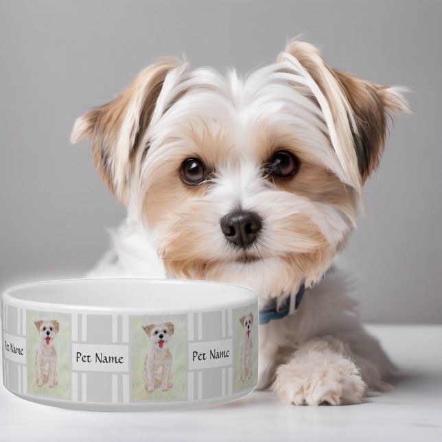Tigela para cachorro Morkie com texto personalizáv (Criador carregado)