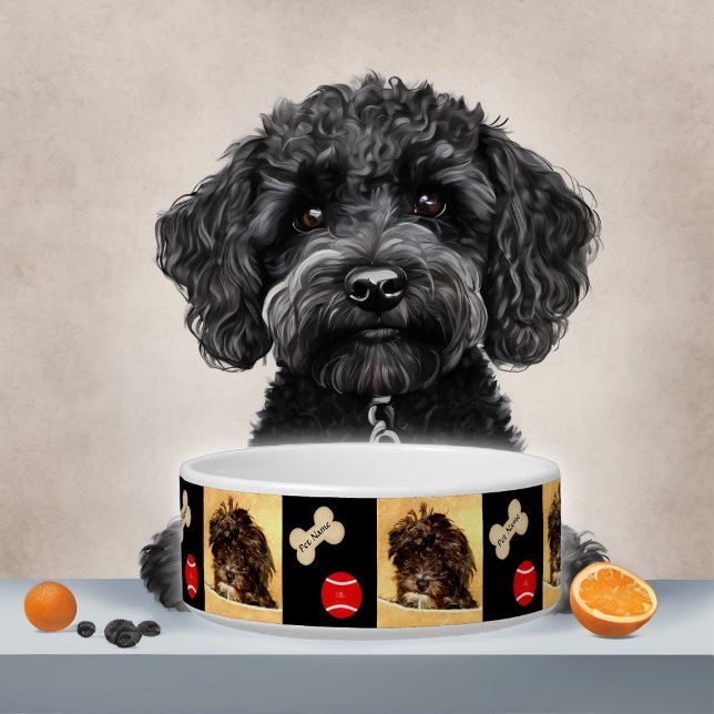 Tigela para cachorro Schnoodle com osso e bola (Criador carregado)