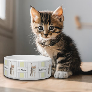 Tigela para Gatinho Malhado