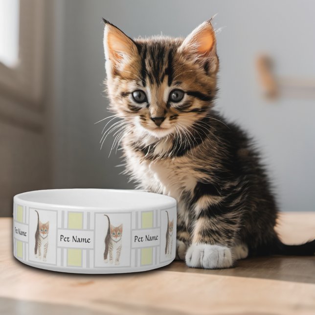 Tigela para Gatinho Malhado (Criador carregado)