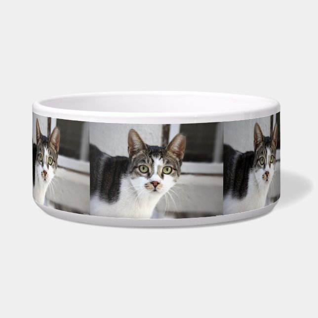 Tigela para Gatos (Frente)
