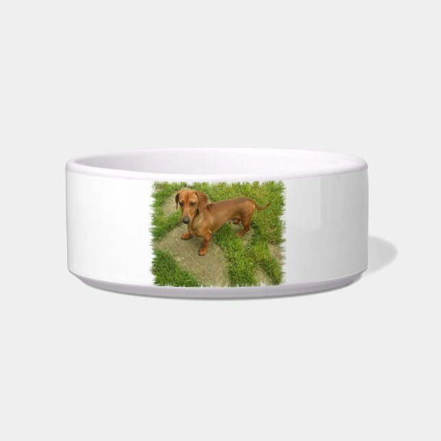 Tigela para Pet Dachshund (Frente)