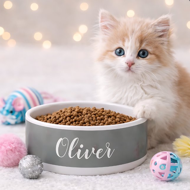 Tigela para Pet DIY | Nome, Cor, Texto Personaliza (Criador carregado)