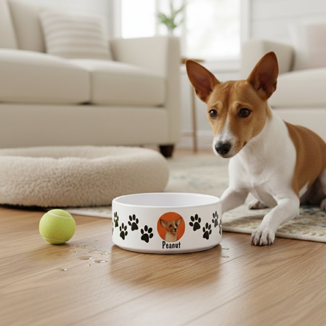 Tigela Pawsitivamente o seu: Pet Bowl personalizável (Criador carregado)