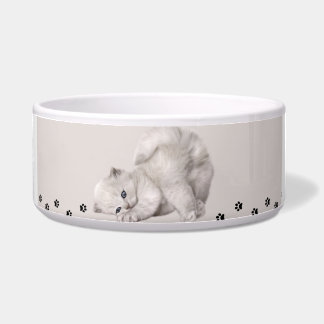 Tigela "Pawyer Bowl"? Gatinho