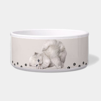 Tigela "Pawyer Bowl"? 🐾 Kitten ✨