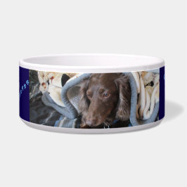 Tigela Pegadas Fiéis de Estimação