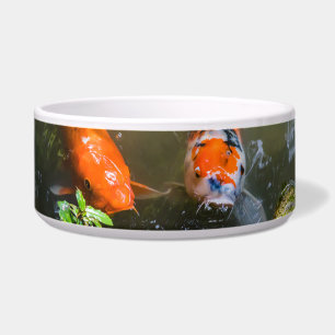 Tigela Peixe Koi numa lagoa