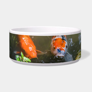 Tigela Peixe Koi numa lagoa