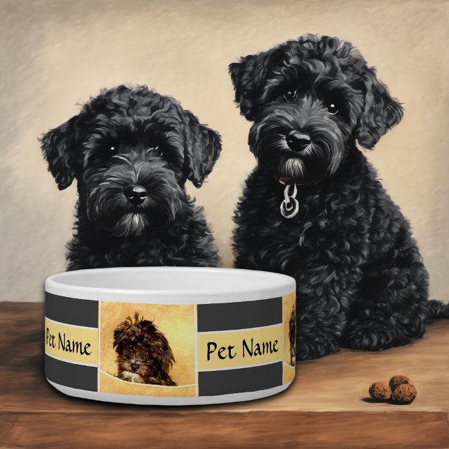 Tigela Personalizada para Cães Schnoodle (Criador carregado)