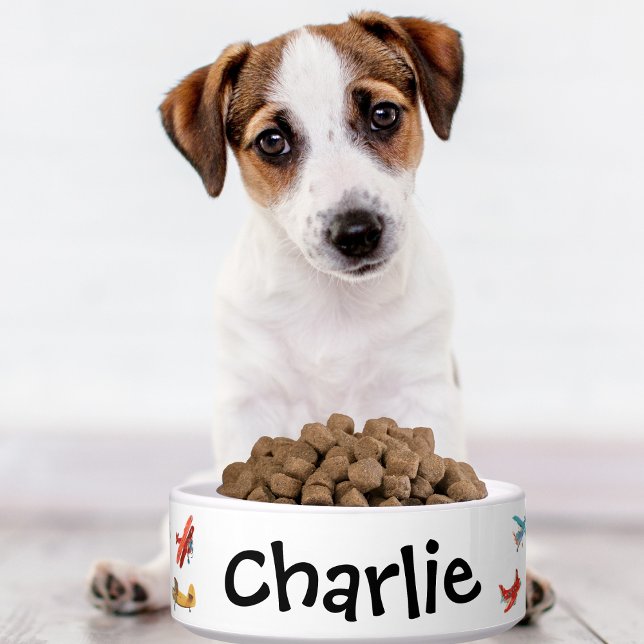 Tigela personalizada para cão e gato com avião em  (Criador carregado)
