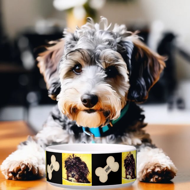Tigela personalizada para cão médio Schnoodle (Criador carregado)