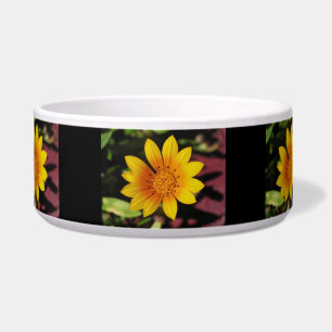 Tigela Pet Bowl Amarelo