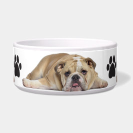 Tigela Pet Bowl/Bull Cão