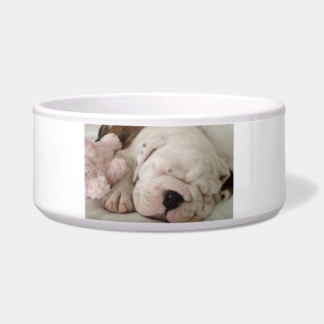 Tigela Pet Bowl Bulldog Dormindo (Frente)