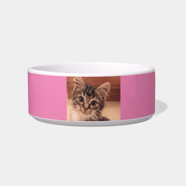 Tigela Pet Bowl Cerâmica (Frente)