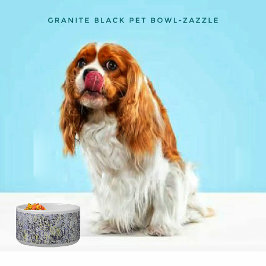 Tigela Pet Bowl Cerâmica