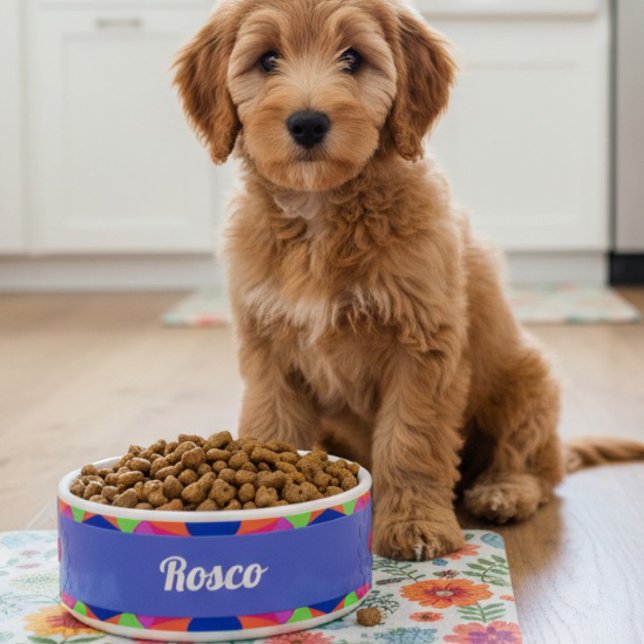 Tigela Pet Bowl, Colorida Azul Retro Geométrico Cerâmica (Every dog deserves a personalized food bowl. Welcome your new pet with one of their own.)