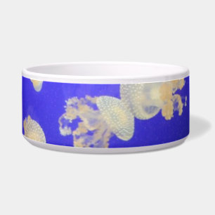 Tigela Pet Bowl de Água Doce