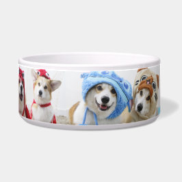 Tigela Pet Bowl de Cosplay Corgis