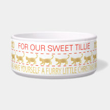 Pet Bowl de Natal "DOURADO/ÚMIDO NADOR"